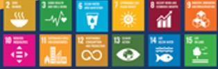sdg1
