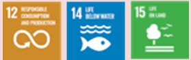 sdg13