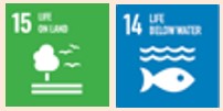 sdg5