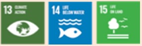 sdg7